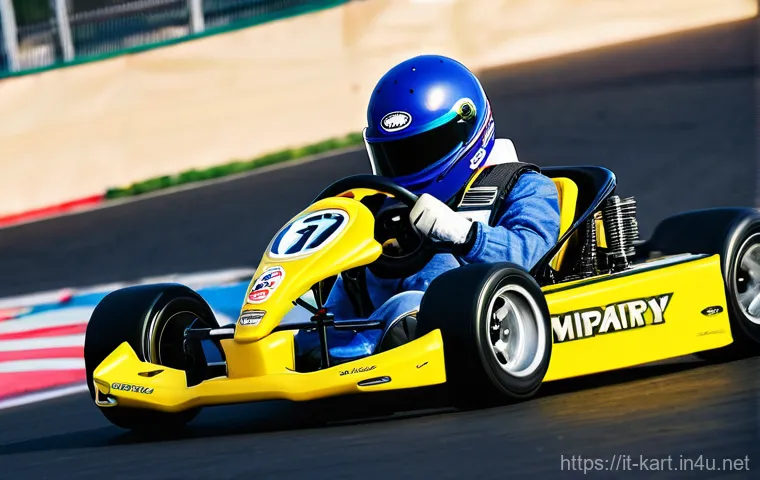 카트라이더 드리프트 전문가의 조언 - **Prompt:** A diverse group of four young adult kart racers, dressed in stylish yet modest athletic ...