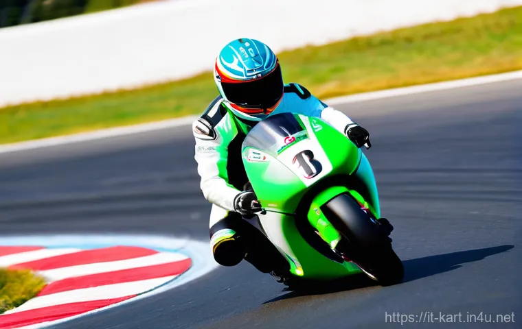 카트라이더 캐릭터 계급 체계 - **Prompt:** A highly skilled, focused male racer, wearing a sleek, form-fitting racing suit adorned ...